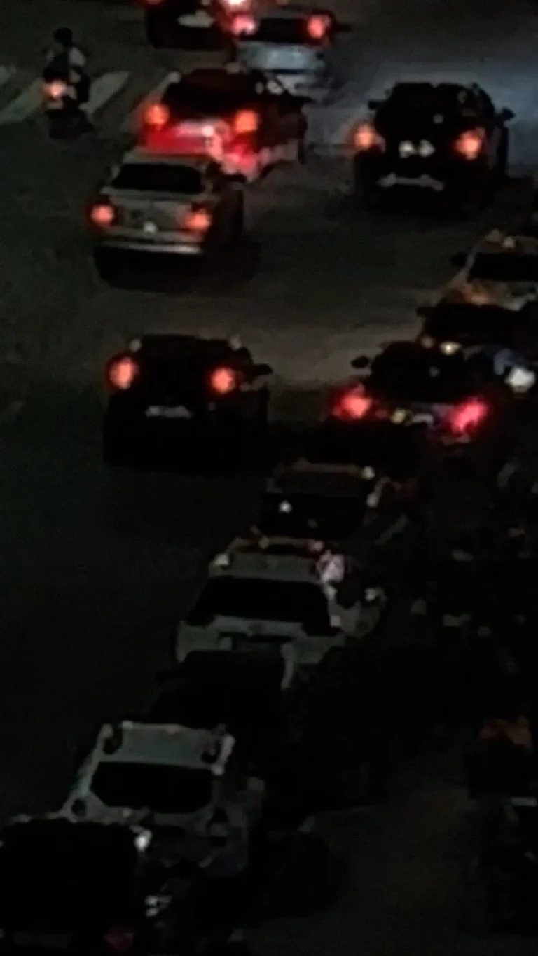 Linn Phyllis Seeger, true idle