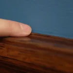 Clothes Moths: Understanding, Eradicating, and Preventing the Silent Destroyer of Wardrobes and Homes