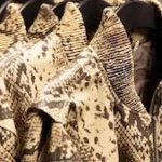 BioFleax Debuts in Stella McCartney H&M Spring 2026 Collection Marking a Milestone for Plant-Based Performance Materials