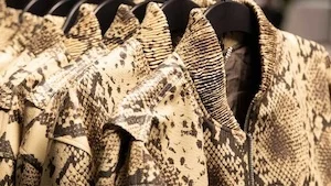 BioFleax Debuts in Stella McCartney H&M Spring 2026 Collection Marking a Milestone for Plant-Based Performance Materials