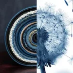 Novonesis Joins Bluesign System Partner Network to Drive Sustainable Innovation in Textile and Leather Manufacturing