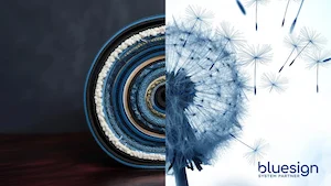 Novonesis Joins Bluesign System Partner Network to Drive Sustainable Innovation in Textile and Leather Manufacturing