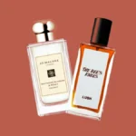 The Sweet Allure of Honey in Fragrance: A Deep Dive into Captivating Scents