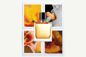 The Unmistakable Aroma of Nostalgia: Peach Fragrances Reign Supreme in 2026