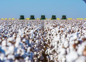 Understanding the Impact of U.S. Cotton Production