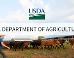 USDA Launches Great American Cotton Plan to Revitalize Domestic Textiles and Support American Farmers