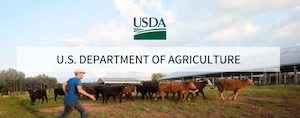 USDA Launches Great American Cotton Plan to Revitalize Domestic Textiles and Support American Farmers