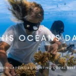 Global Fashion Faces Mounting Scrutiny Over Sustainability, Ethics, and Labor Practices in June 2026