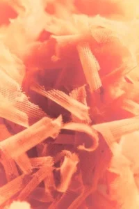 Syntetica Secures 30 Million Dollars in Series A Funding to Revolutionize Nylon Recycling and Establish Industrial Scale Operations in France