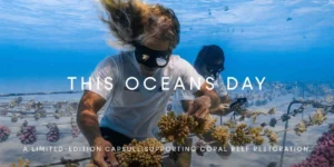 What to Know in Sustainable Fashion and Beauty This July – Good On You