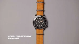Inside the Growing Clicky Bezel Watch Collection: From Dive Watches to Grails